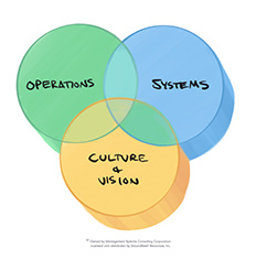 operations, systems, and culture & vision molecules all overlapping