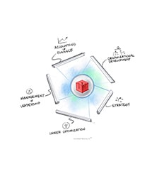 Illustration of a red cube surrounded by five core business frameworks including organizational development, strategy, accounting & finance, inner optimization, and management and leadership