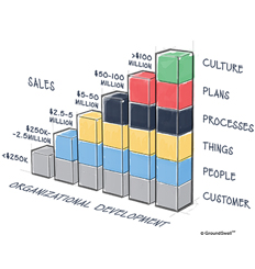 A color-coded bar chart that highlights the levels of an organization that need to be developed as organizations reach their next stage of growth